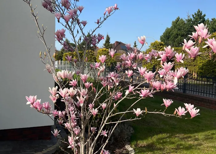 Apartamenty Bursztynowe