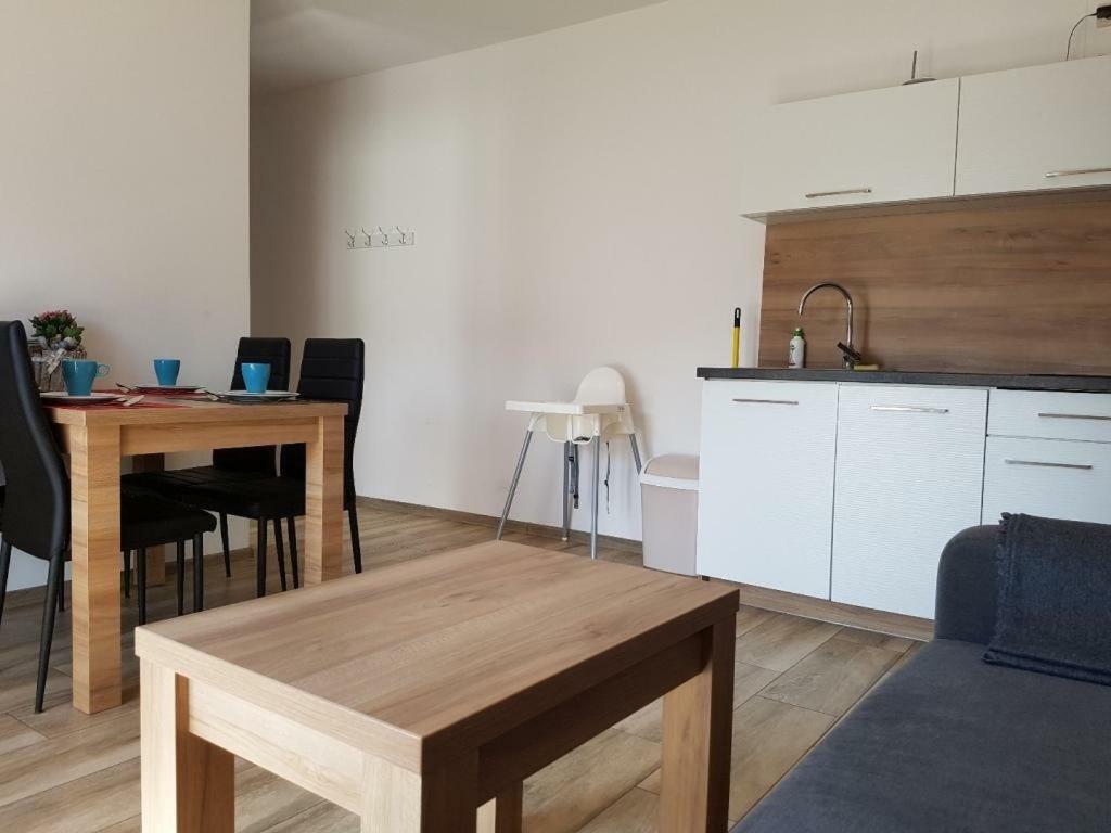 Bursztynowe Apartment Debki